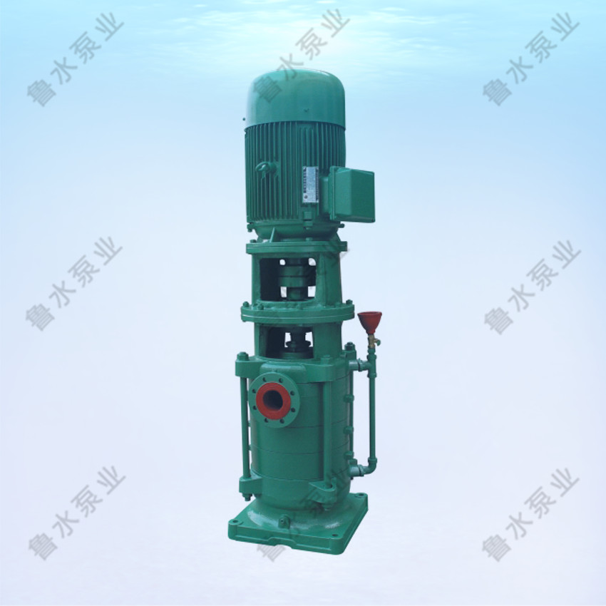 DL（DLR）型立式多(duo)級離心泵(bèng)