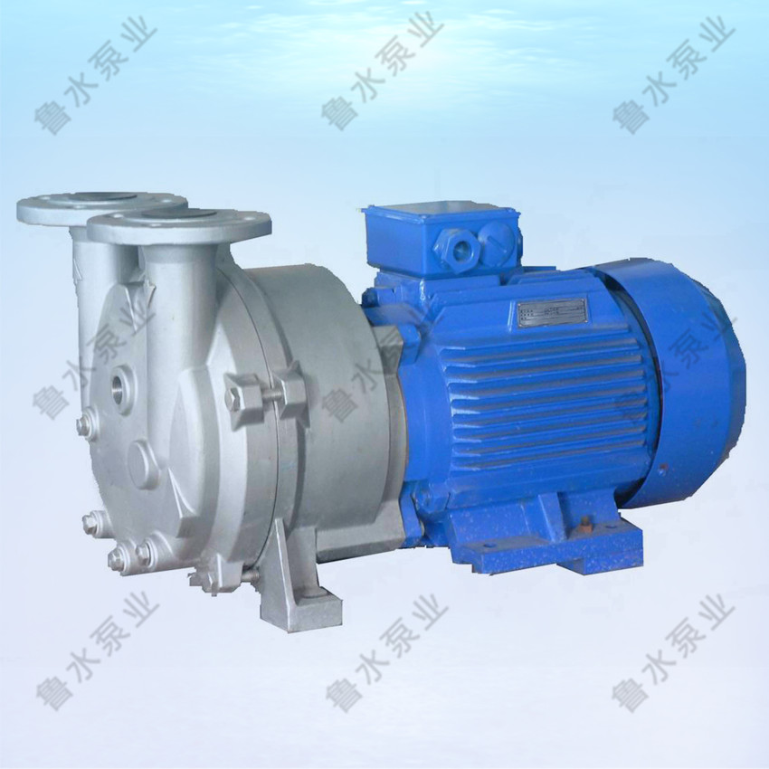 2BV水環(huan)式真空泵(beng)