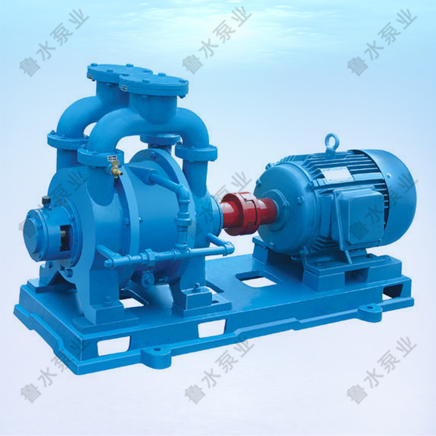 SK系(xi)列水環式真(zhēn)空泵