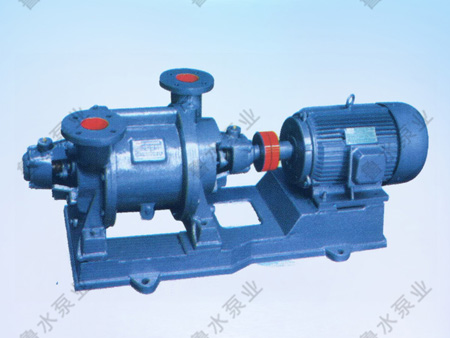 SZ系列水環式(shì)真空泵